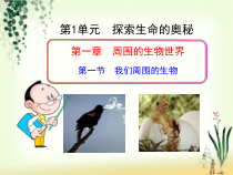 《第一节 人体需要的主要营养物质》PPT课件4-苏教版生物七年级下册