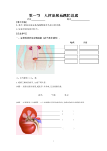 《第一节 人体泌尿系统的组成》导学-苏教版生物七年级下册