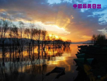 1.1.2-1《网络搜索与下载图片》PPT课件7-八年级上册信息技术【重大版】