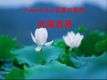 1.3.2-1《设置对象的动画效果》PPT课件2-八年级下册信息技术【重大版】
