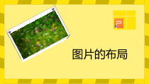 《演示文稿的美化——图片的布局》PPT课件-八年级下册信息技术【重大版】