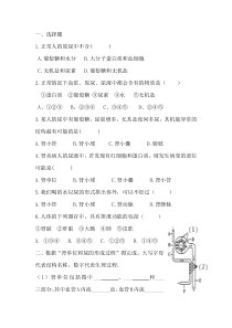 《第二节 人体废物的排出》练习题-苏教版生物七年级下册