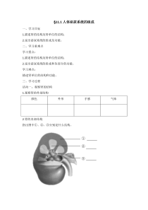 《第一节 人体泌尿系统的组成》学案-苏教版生物七年级下册