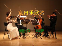 《管弦乐欣赏之管弦乐器的认识和听辨》PPT课件（共5页）-八年级下册音乐【桂教版】