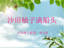 《沙田柚子满船头》PPT课件-八年级下册音乐【桂教版】