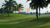 《唱歌 《绿荫》PPT课件1-八年级下册音乐【沪教版】