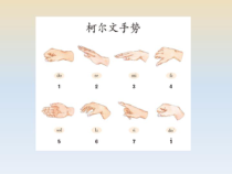 《歌曲《DO-RE-MI》PPT课件2-七年级上册音乐【花城粤教版】