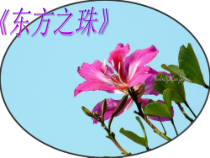 《歌曲《东方之珠》PPT课件1-七年级下册音乐【花城粤教版】