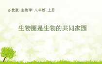 苏教版生物八年级上册（课件12份可预览）