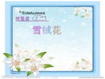 《吹竖笛（之二）》PPT课件1-八年级上册音乐【花城粤教版】