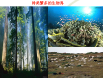 《第一节 生命的诞生》PPT课件2-苏教版生物八年级上册