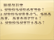 《第二节 动物运动依赖于一定的结构》PPT课件1-苏教版生物八年级上册
