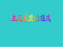 《第一节 生态系统的组成》PPT课件6-苏教版生物八年级上册