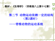 《第二节 动物运动依赖于一定的结构》PPT课件3-苏教版生物八年级上册