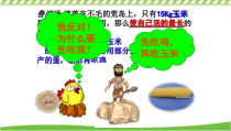 《第二节 生态系统中的能力流动和物质循环》PPT课件3-苏教版生物八年级上册
