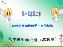 《第二节 动物运动依赖于一定的结构》PPT课件2-苏教版生物八年级上册