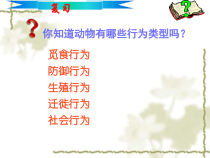 《第二节 动物行为的生理基础》PPT课件2-苏教版生物八年级上册