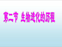 《第二节 生物进化的历程》PPT课件1-苏教版生物八年级上册