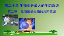 《第二节 生物圈是生物的共同家园》PPT课件1-苏教版生物八年级上册