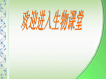 《第四节 人类的起源和进化》PPT课件2-苏教版生物八年级上册