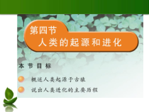 《第四节 人类的起源和进化》PPT课件3-苏教版生物八年级上册