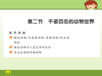 《第二节 千姿百态的动物世界》PPT课件3-苏教版生物八年级上册