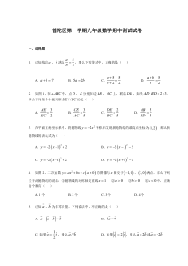 上海市普陀区九年级初三上学期数学期中试卷+答案