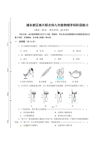 上海市浦东新区南片联合体九年级初三上学期物理期中试卷+答案