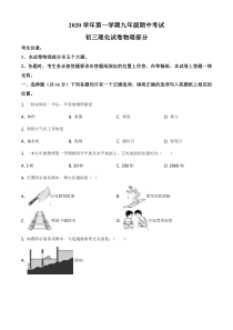 上海市松江区2020-2021九年级初三上学期物理期中试卷+答案