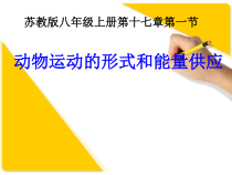 《第一节 动物运动的形式和能量供应》PPT课件2-苏教版生物八年级上册