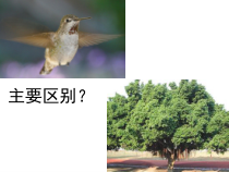 《第一节 动物运动的形式和能量供应》PPT课件3-苏教版生物八年级上册
