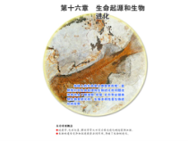 《第一节 生命的诞生》PPT课件3-苏教版生物八年级上册