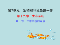 《第一节 生态系统的组成》PPT课件2-苏教版生物八年级上册