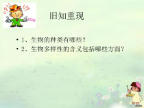 《第一节 生态系统的组成》PPT课件5-苏教版生物八年级上册