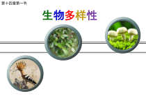 《第一节 生物多样性》PPT课件2-苏教版生物八年级上册