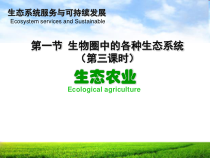 《第一节 生物圈中的各种生态系统》PPT课件3-苏教版生物八年级上册