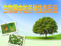 《第一节 生物圈中的各种生态系统》PPT课件2-苏教版生物八年级上册