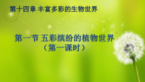 《第一节 五彩缤纷的植物世界》PPT课件1-苏教版生物八年级上册