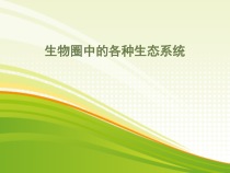 《第一节 生物圈中的各种生态系统》PPT课件1-苏教版生物八年级上册