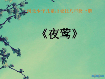 《夜莺 轻音乐曲》PPT课件3-八年级上册音乐【冀少版】