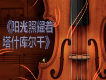 《阳光照耀着塔什库尔干 小提琴独奏曲》PPT课件2-八年级下册音乐【冀少版】