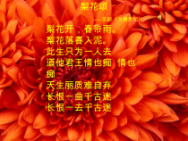 《智斗 京剧《沙家浜》选段》PPT课件1-八年级下册音乐【冀少版】