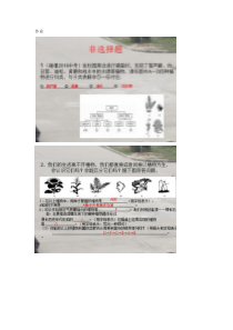 《第一节 五彩缤纷的植物世界》作业-苏教版生物八年级上册