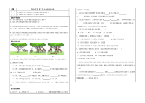 《第三节 生物进化的学说》学案-苏教版生物八年级上册