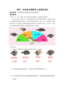 《第三节 生物进化的学说》导学案3-苏教版生物八年级上册