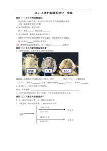 《第四节 人类的起源和进化》学案1-苏教版生物八年级上册