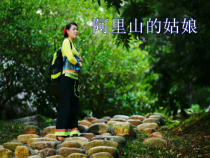 第二单元《阿里山的姑娘》PPT课件-九年级上册音乐【冀少版】
