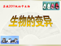 《第五节 生物的变异》PPT课件3-苏教版生物八年级下册