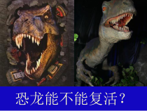 《第一节 现代生物技术的应用》PPT课件1-苏教版生物八年级下册