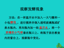 《第一节 源远流长的发酵技术》PPT课件1-苏教版生物八年级下册